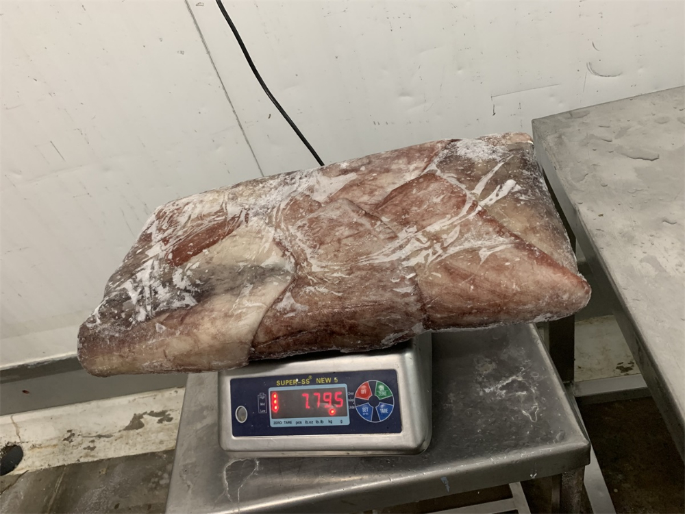 冷凍魷魚耳 FROZEN GIANT SQUID WINGS