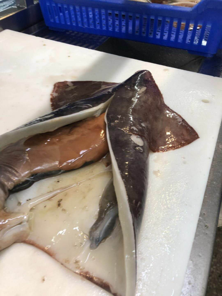 冷凍魷魚(yú)原條 FROZEN WHOLE GIANT SQUID