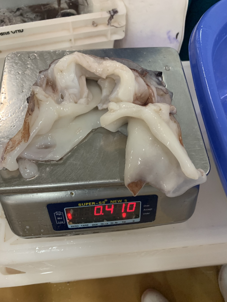 魷魚(yú)脖 FROZEN GIANT SQUID NECK