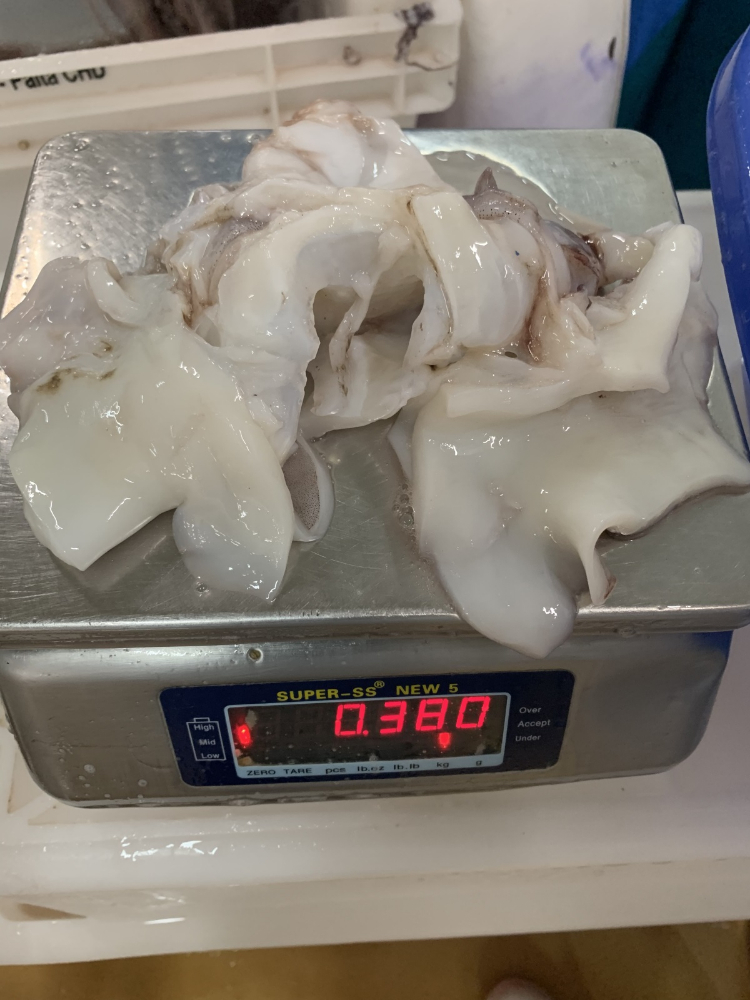 魷魚(yú)脖 FROZEN GIANT SQUID NECK